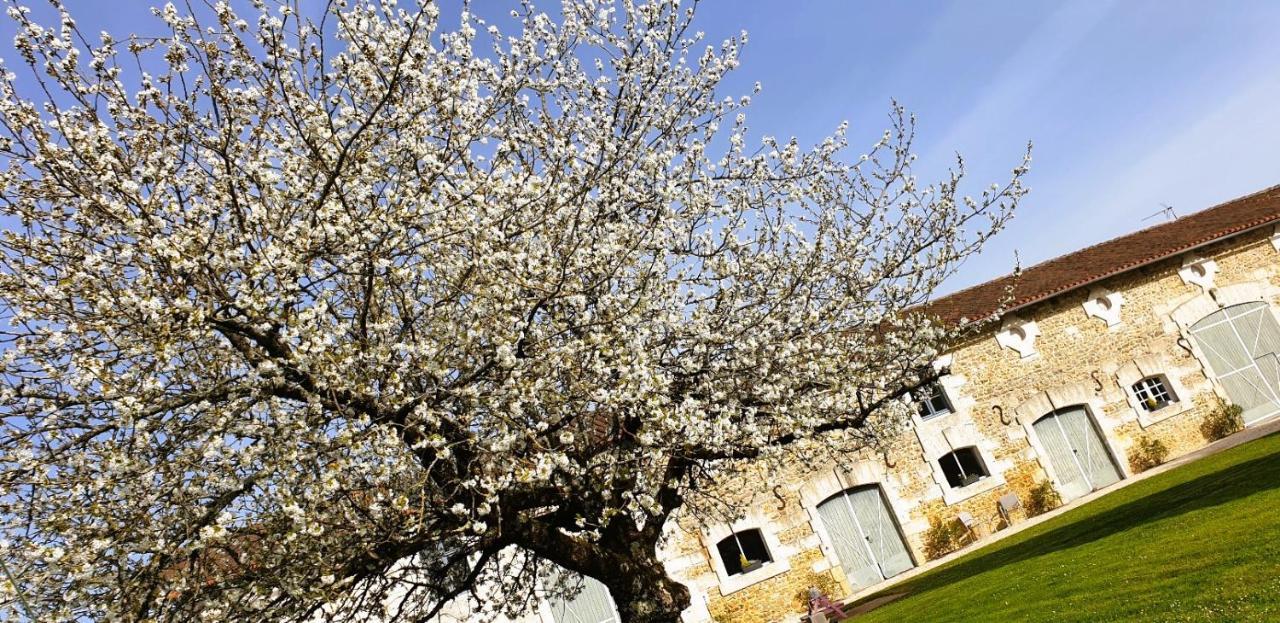 Les Quintanes Bed and Breakfast Suaux Exterior foto